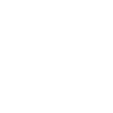 DICE